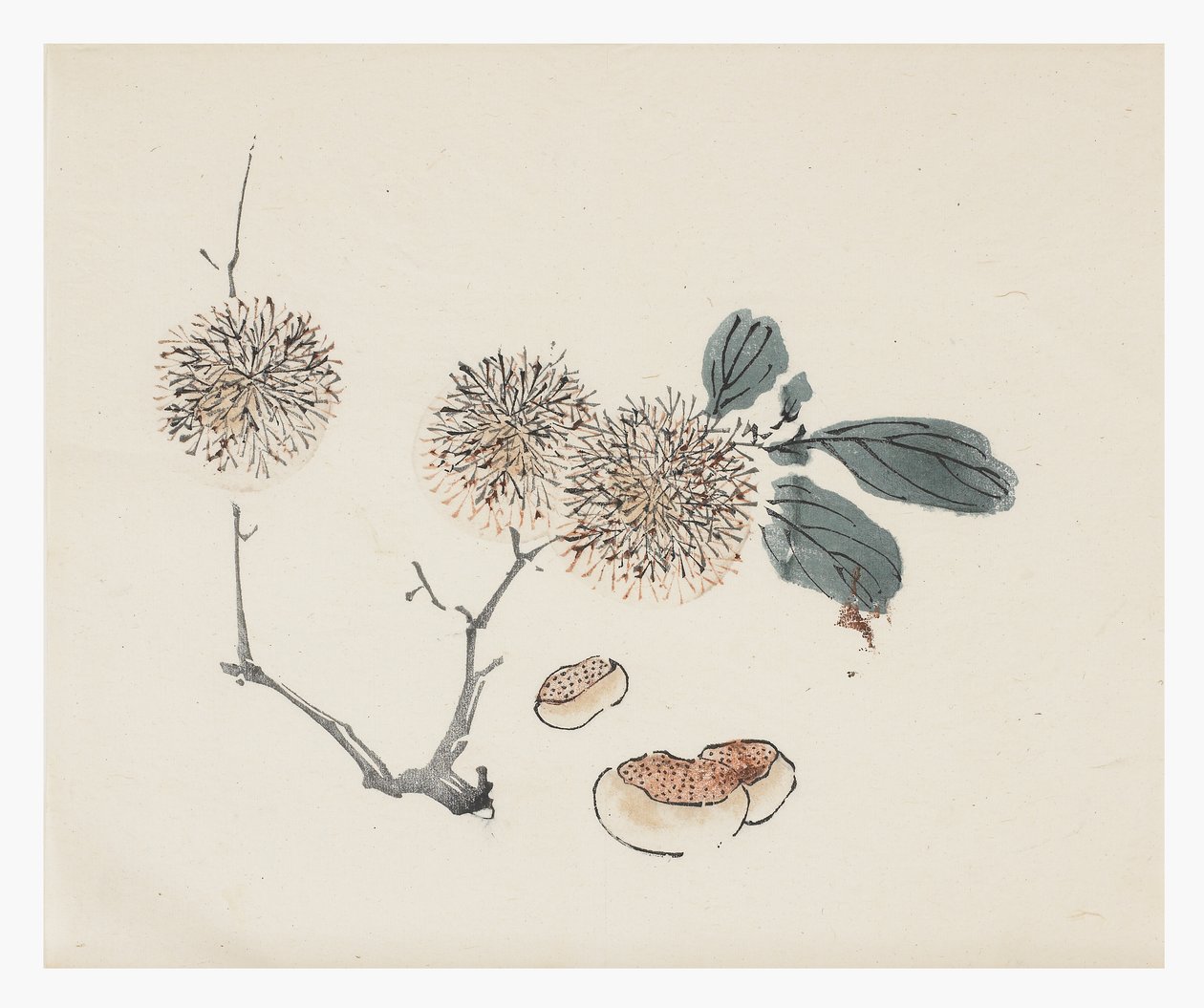 On Bambu Serisi, 18. yüzyıl by Chinese School