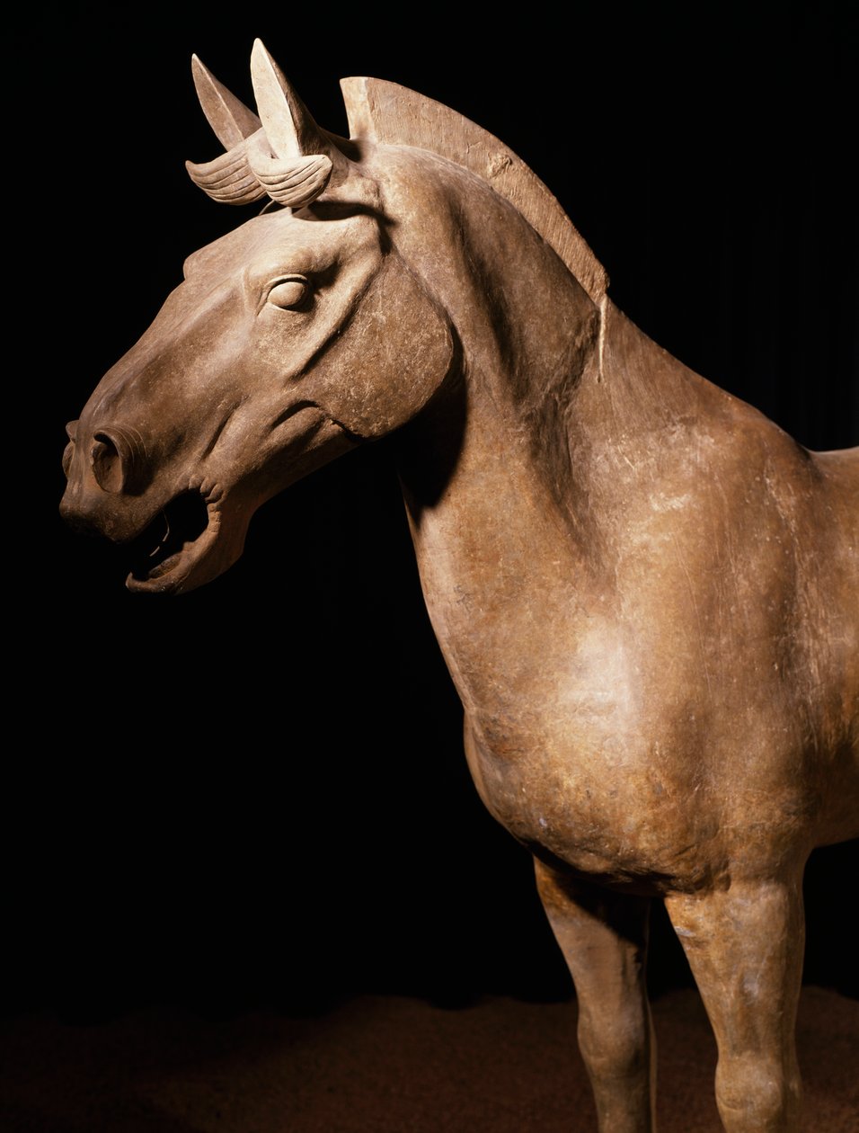 Terracotta Ordu atı, İmparator Qin Shi Huang