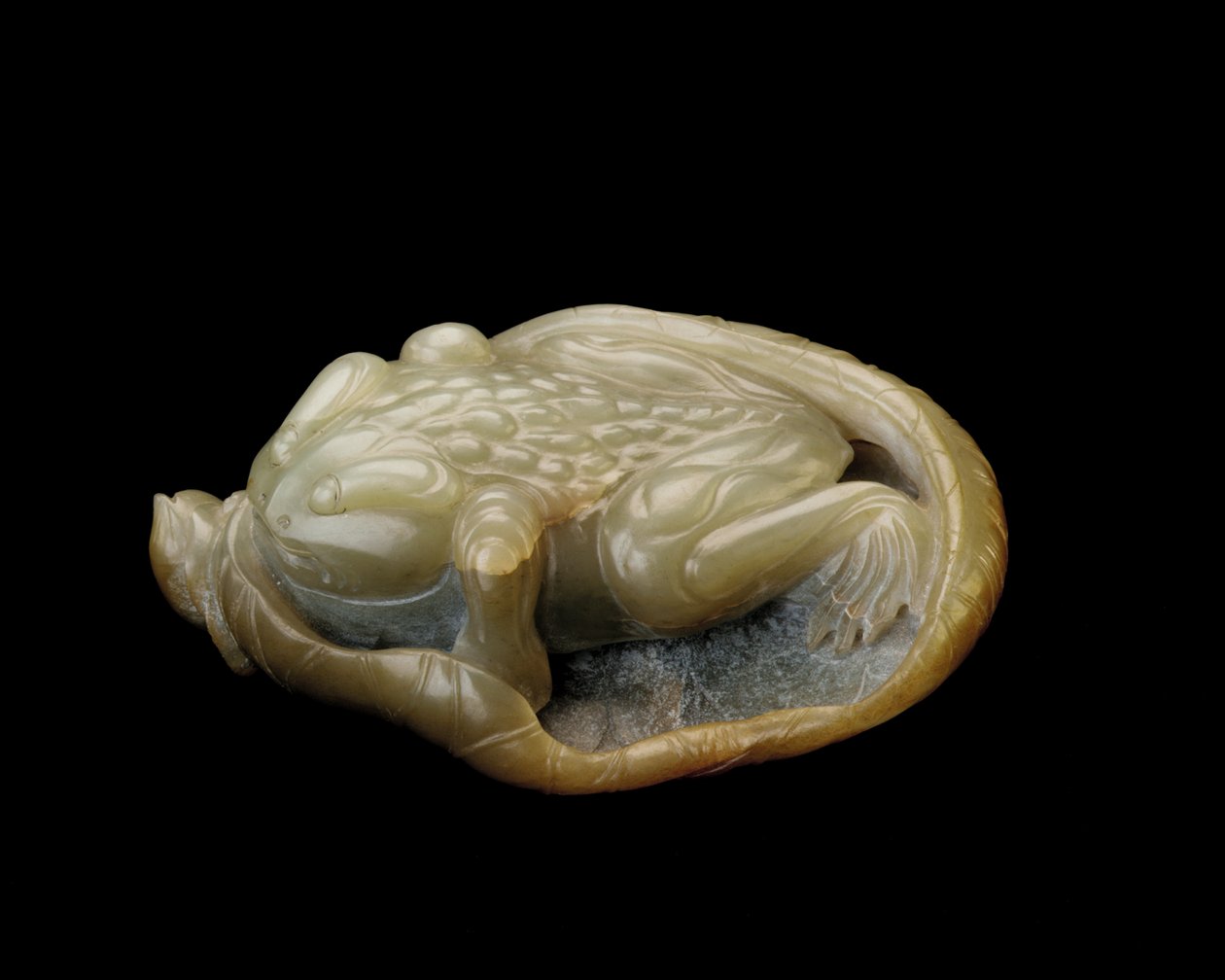 Lotus yaprağındaki kurbağa, 1500-1700 by Chinese School