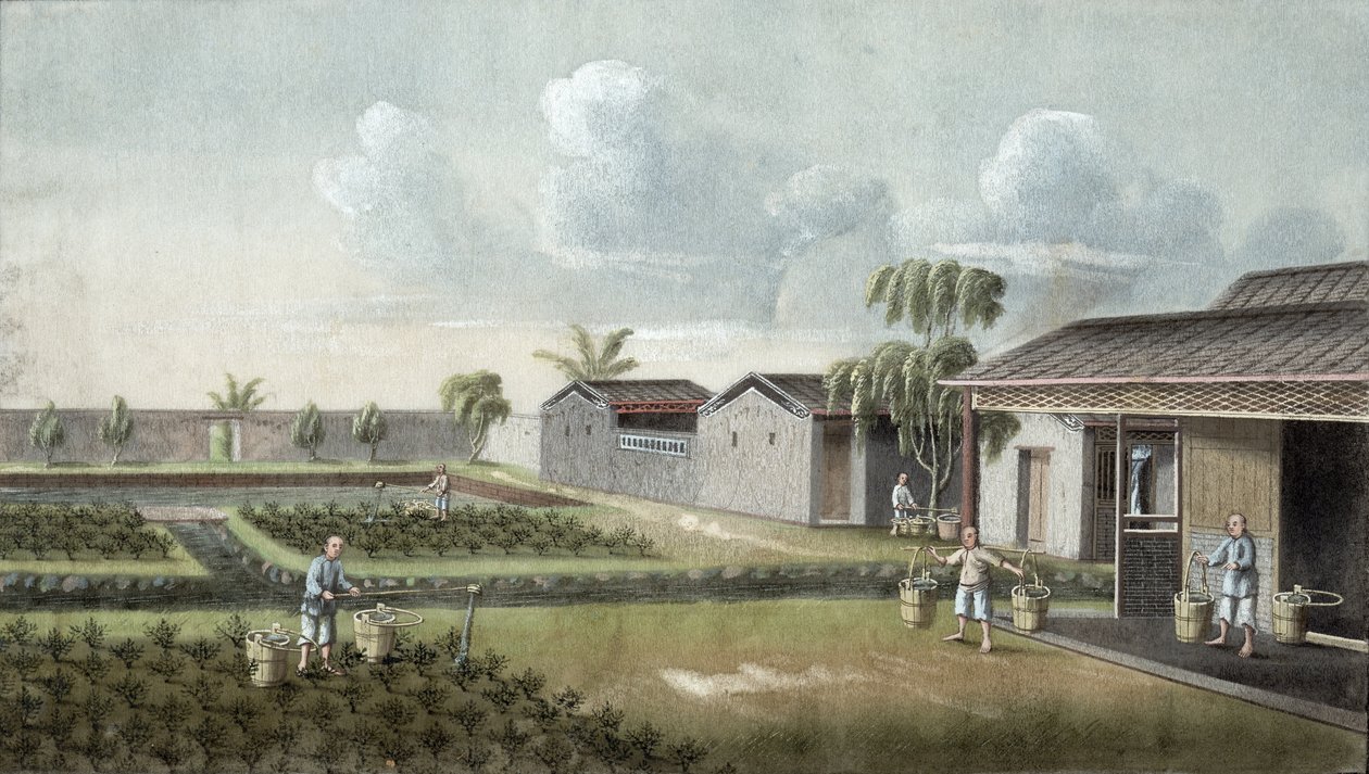 Çay bitkilerinin sulanması (kağıt üzerine wc) by Chinese School