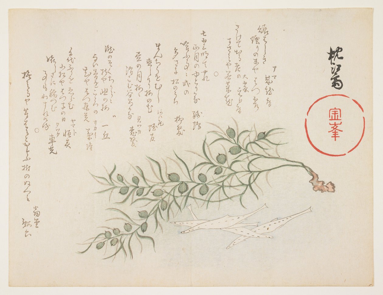 Küçük beyaz balık ve su otu, c.1854-59 (renkli tahta baskı) by Chinksai