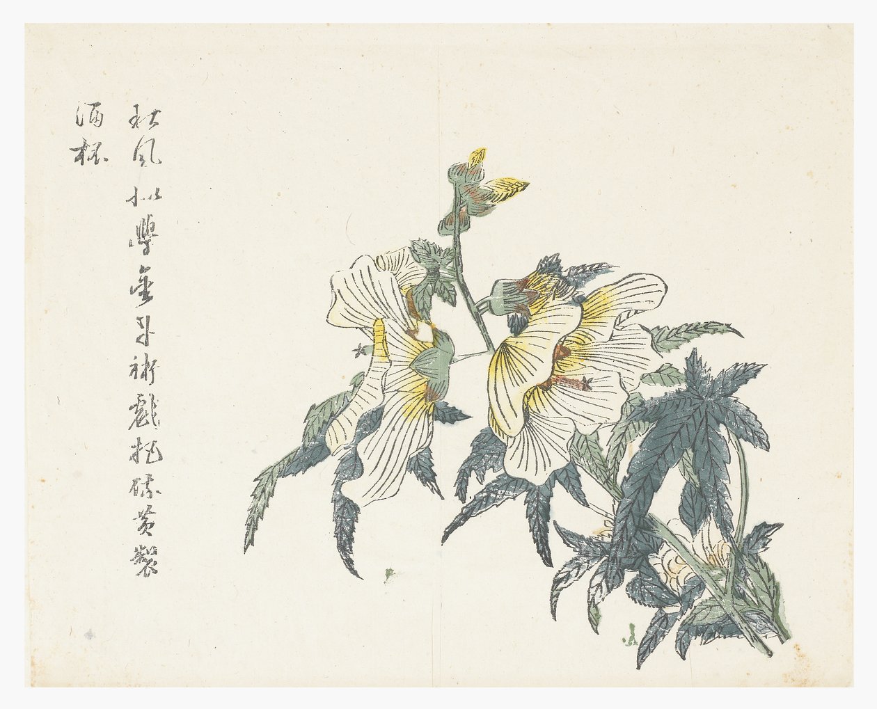 Hardal Tohumu Bahçesi by Chou Huang (after)
