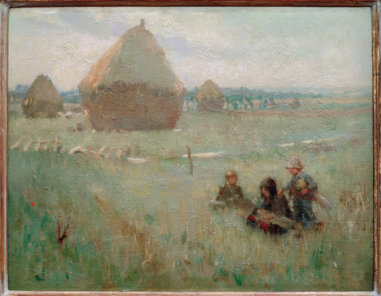 Hayfield