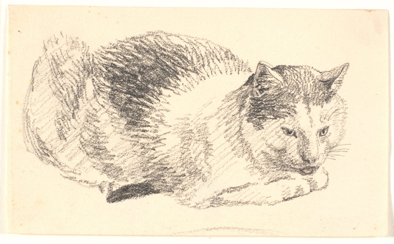 yalancı kedi by Christen Købke