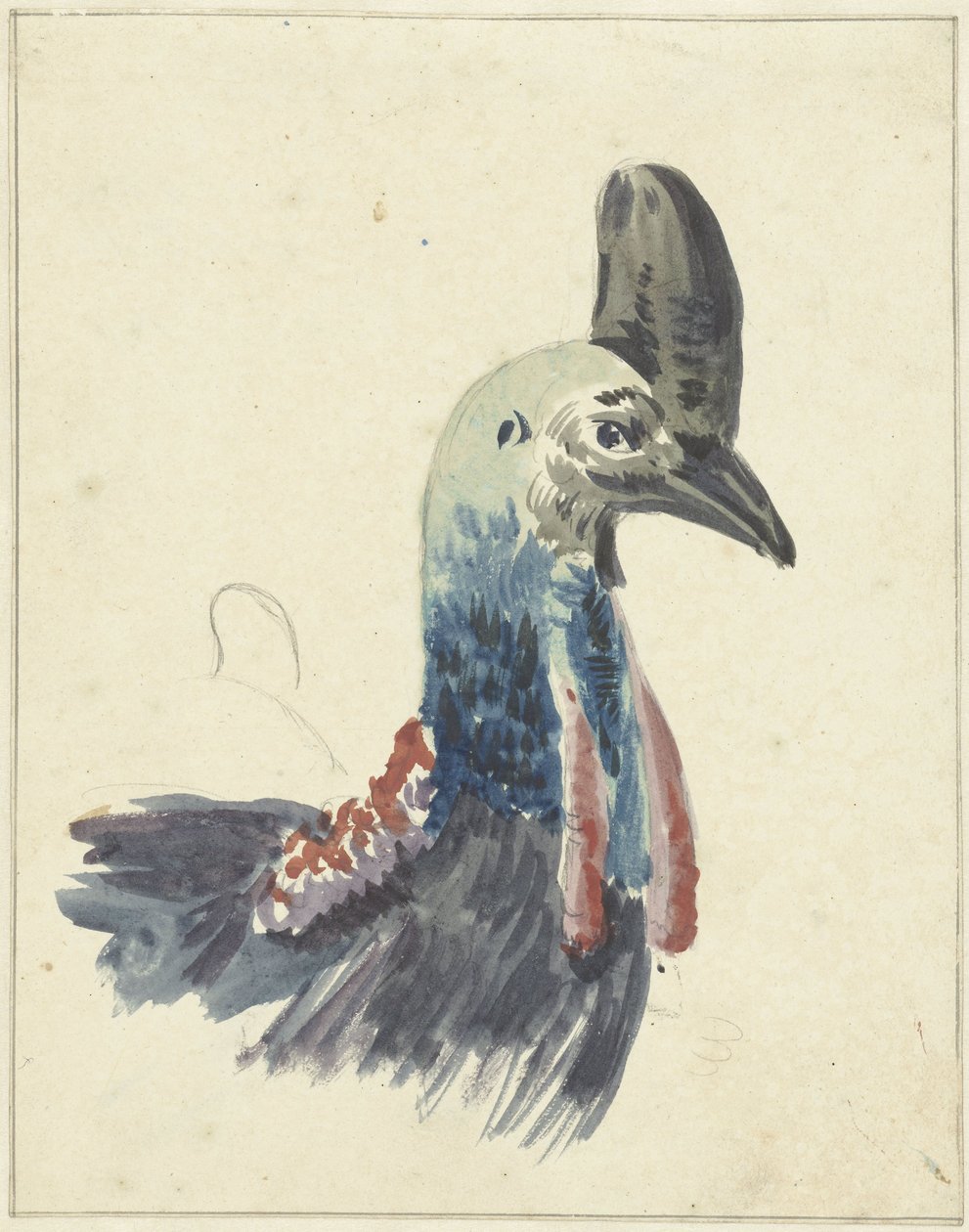 Cassowary Başkanı, suluboya by Christiaan van Geelen