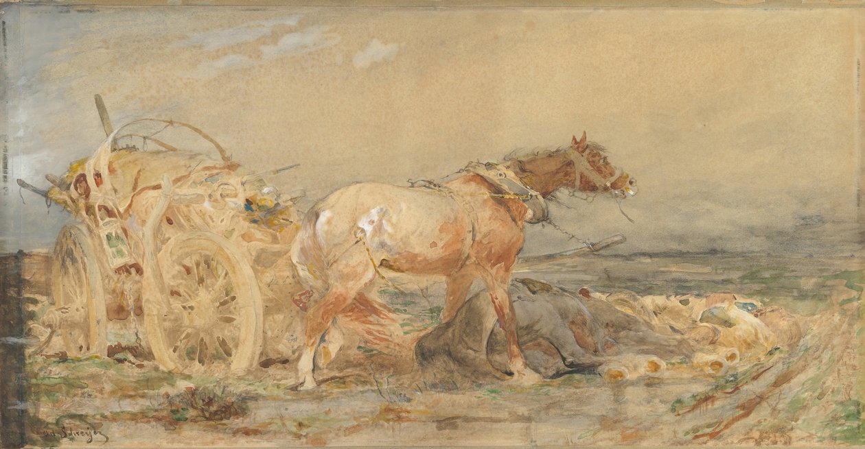 Terkedilmiş: Tuna Bataklıkları, 1887