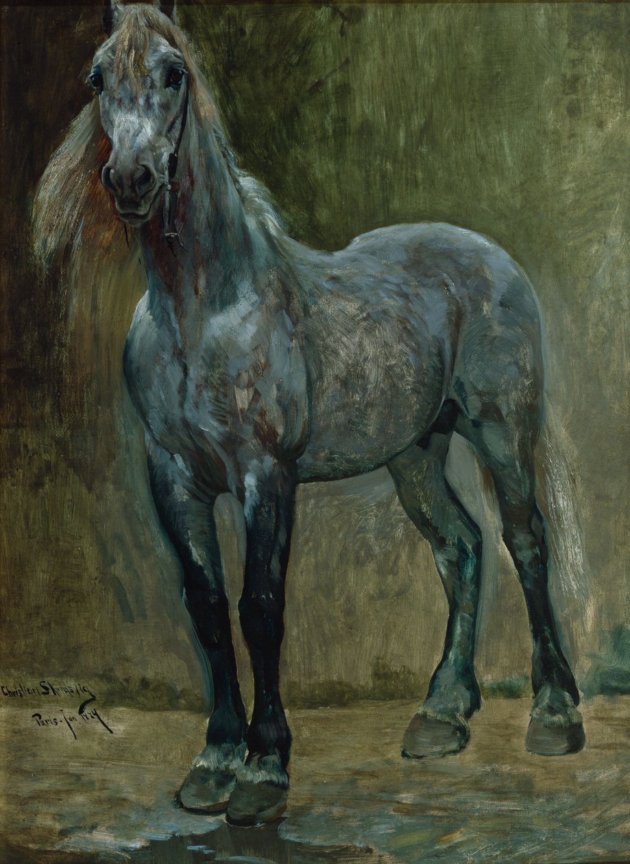Bela by Christian Eriksen Skredsvig
