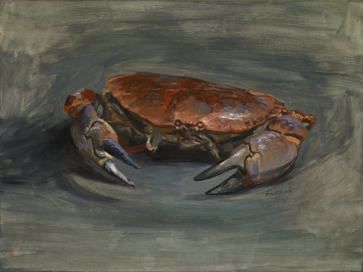  by Christian Furr