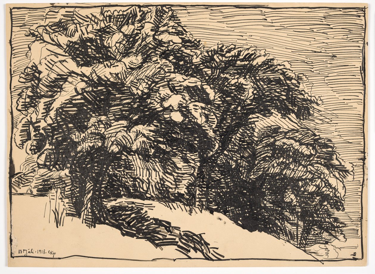 Bir bankada meşe ağaçları by Christian Kongstad Petersen