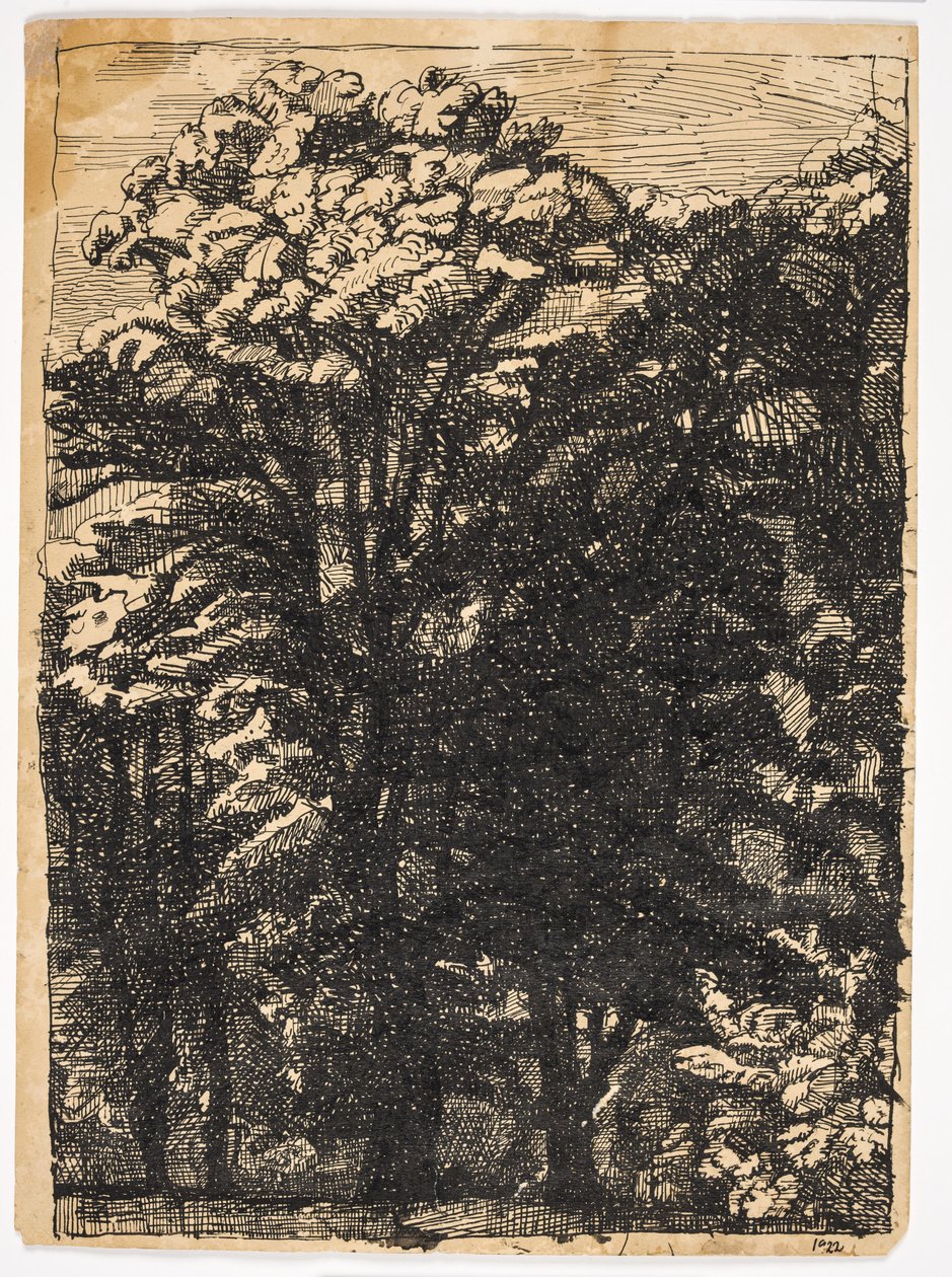ağaçlar by Christian Kongstad Petersen