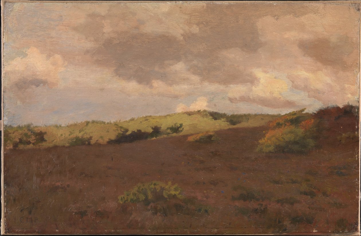 Heath manzara. Düşmek by Christian Mourier Petersen