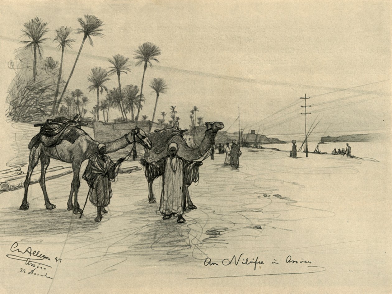 Aswan