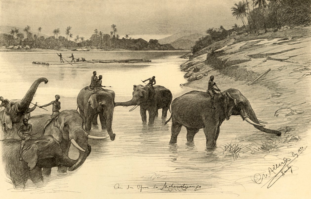 Mahaweli Nehri kıyısındaki filler, Seylan, 1898. by Christian Wilhelm Allers