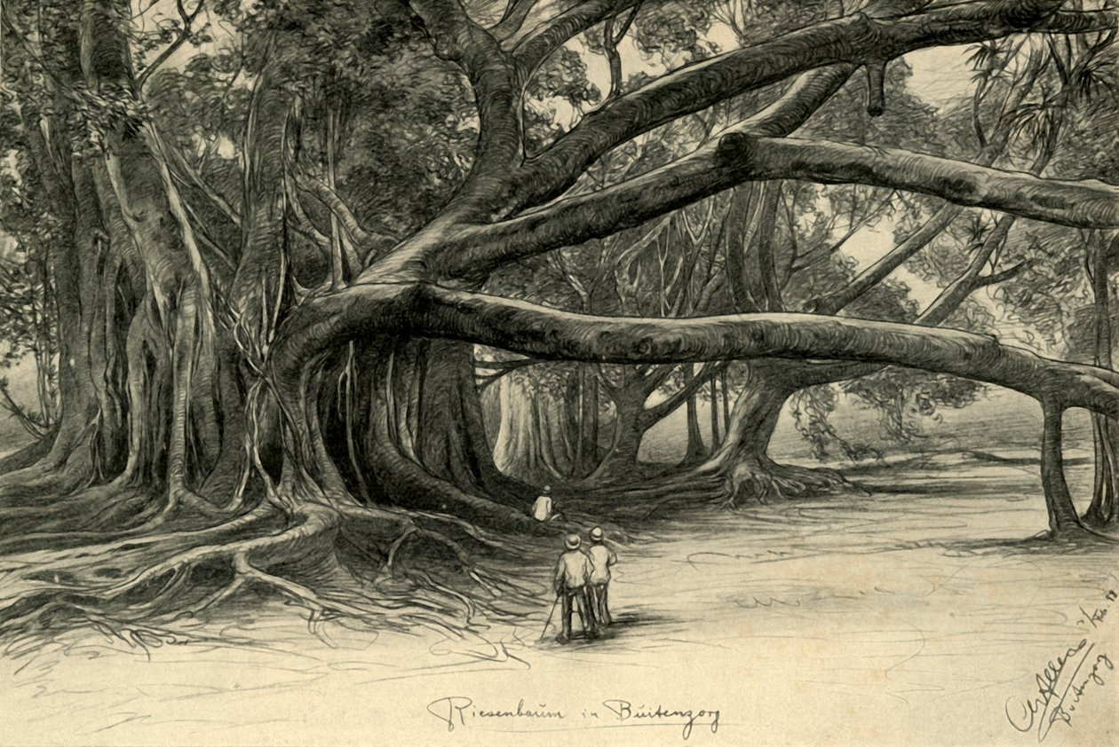Buitenzorg