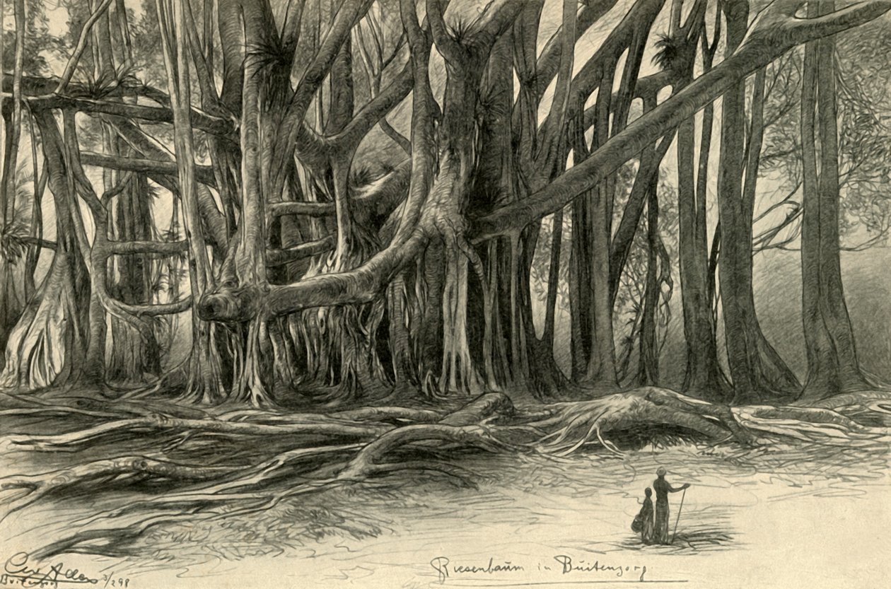 Buitenzorg