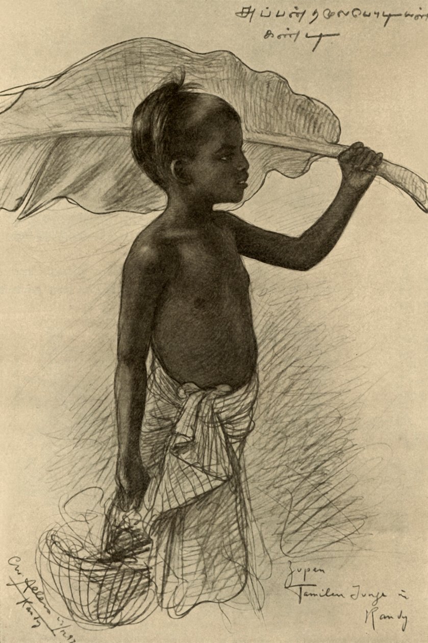 Tamil çocuğu, Kandy, Seylan, 1898. by Christian Wilhelm Allers