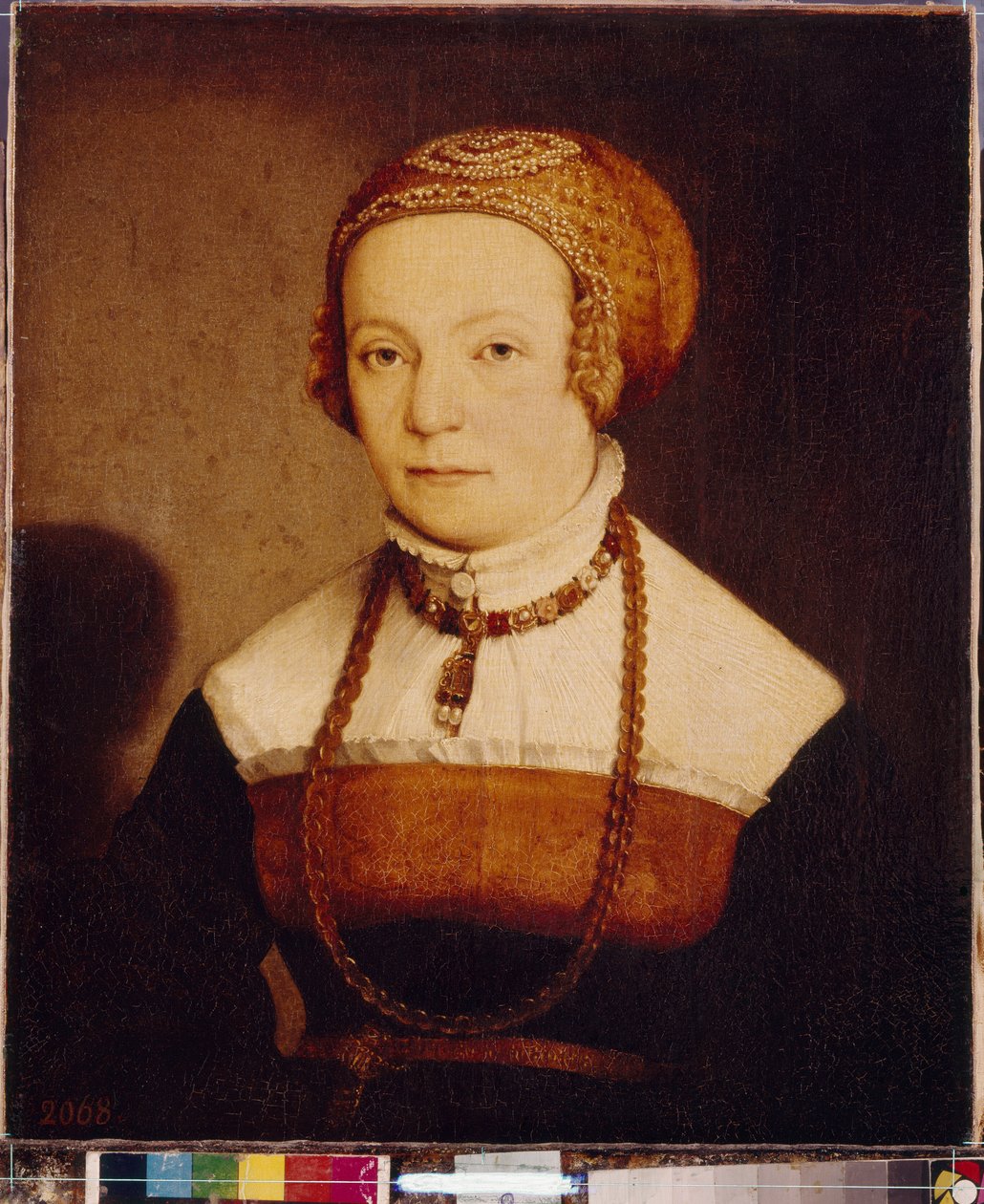 Bir kadının portresi. Christoph Amberger tarafından yapılan tablo (1500-1562 dolaylarında), ahşap üzerine yağlı boya, 1548