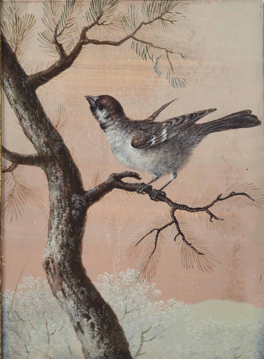  by Christoph Ludwig Agricola