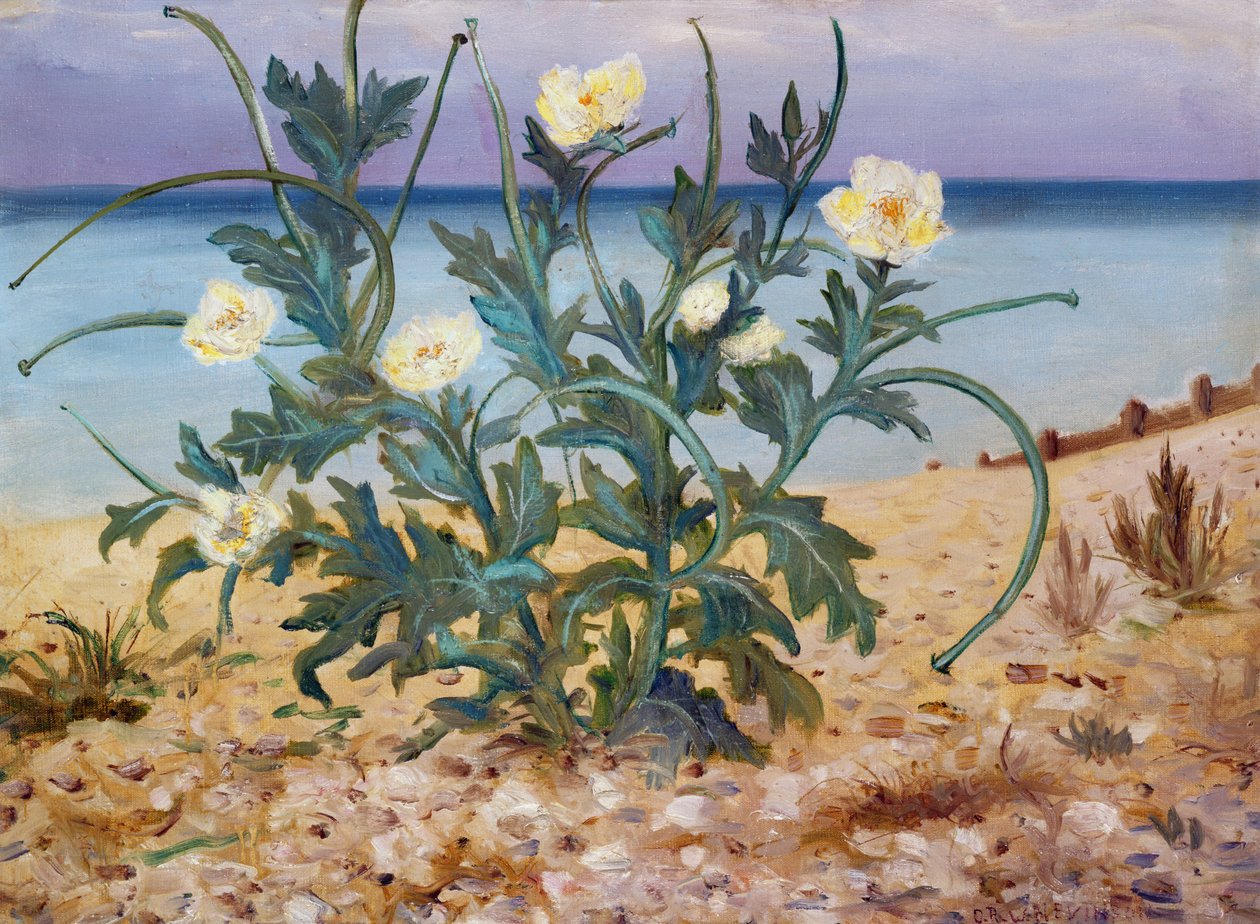 Kum Tepeleri, Doğu Sahili, 1944 by Christopher Richard Wynne Nevinson