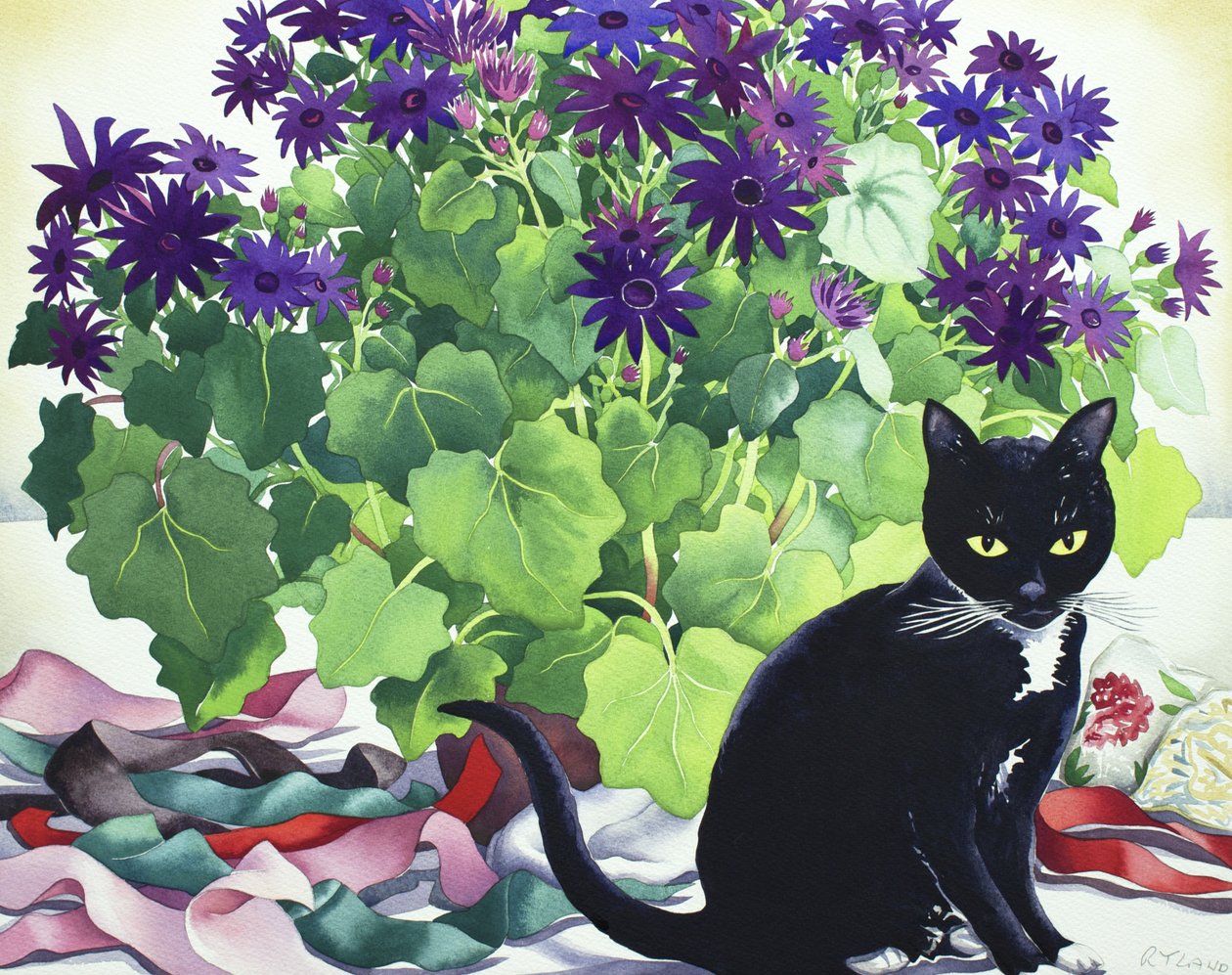 Senetti Bitki ve Kedi by Christopher Ryland