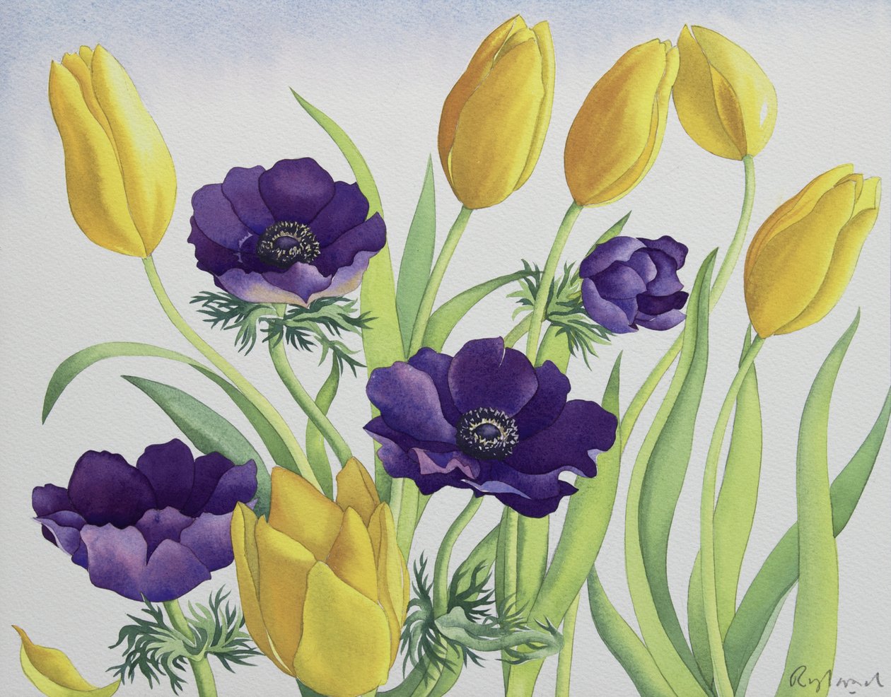 Laleler ve Anemonlar by Christopher Ryland