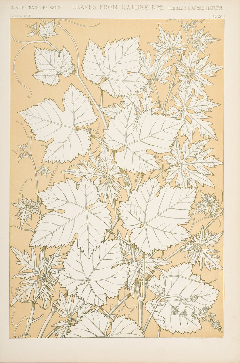 Doğadan Yapraklar, 1868 (chromolitho) by Christopher Dresser