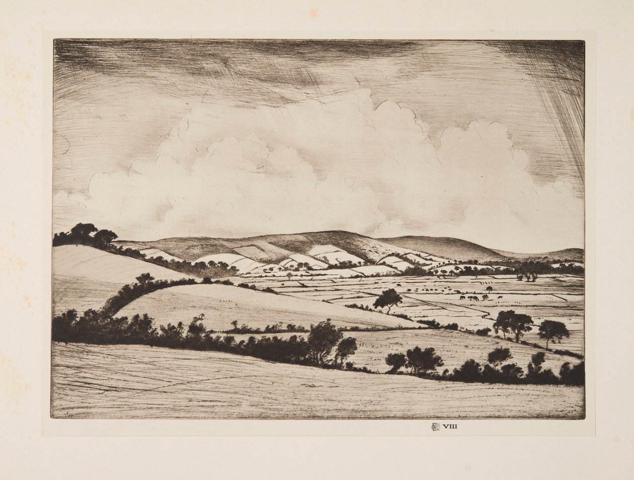 South Downs