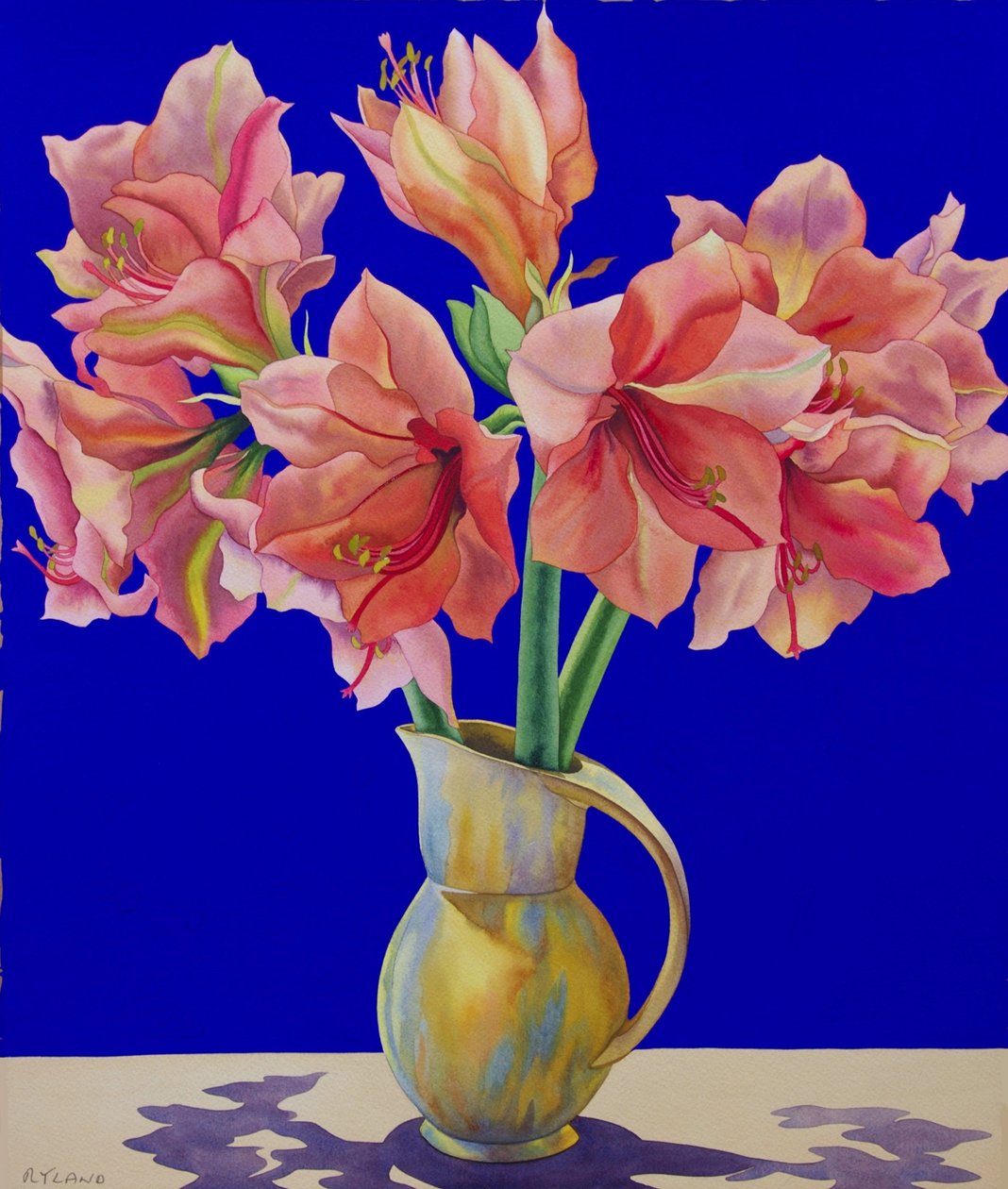 Sürahi içinde nergis zambağı, 2007 (kağıt üzerinde wc ve guaş) by Christopher Ryland