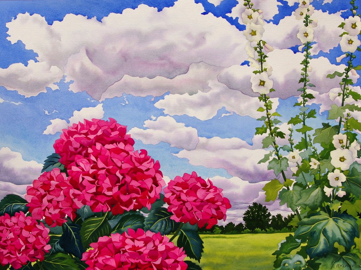 Çayır kenarındaki çiçekler, 2008 (kağıt üzerinde wc) by Christopher Ryland
