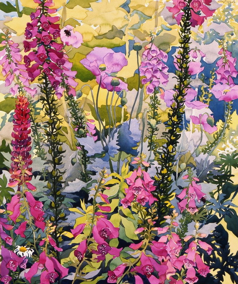 Foxgloves ile Bahçe (kağıt üzerine sulu boya) by Christopher Ryland