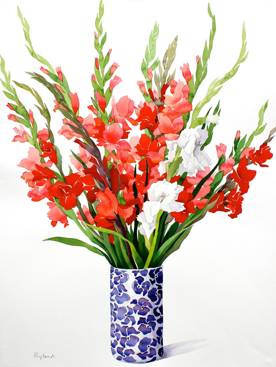 Kırmızı ve Beyaz Gladioli (kağıt üzerine sulu boya) by Christopher Ryland