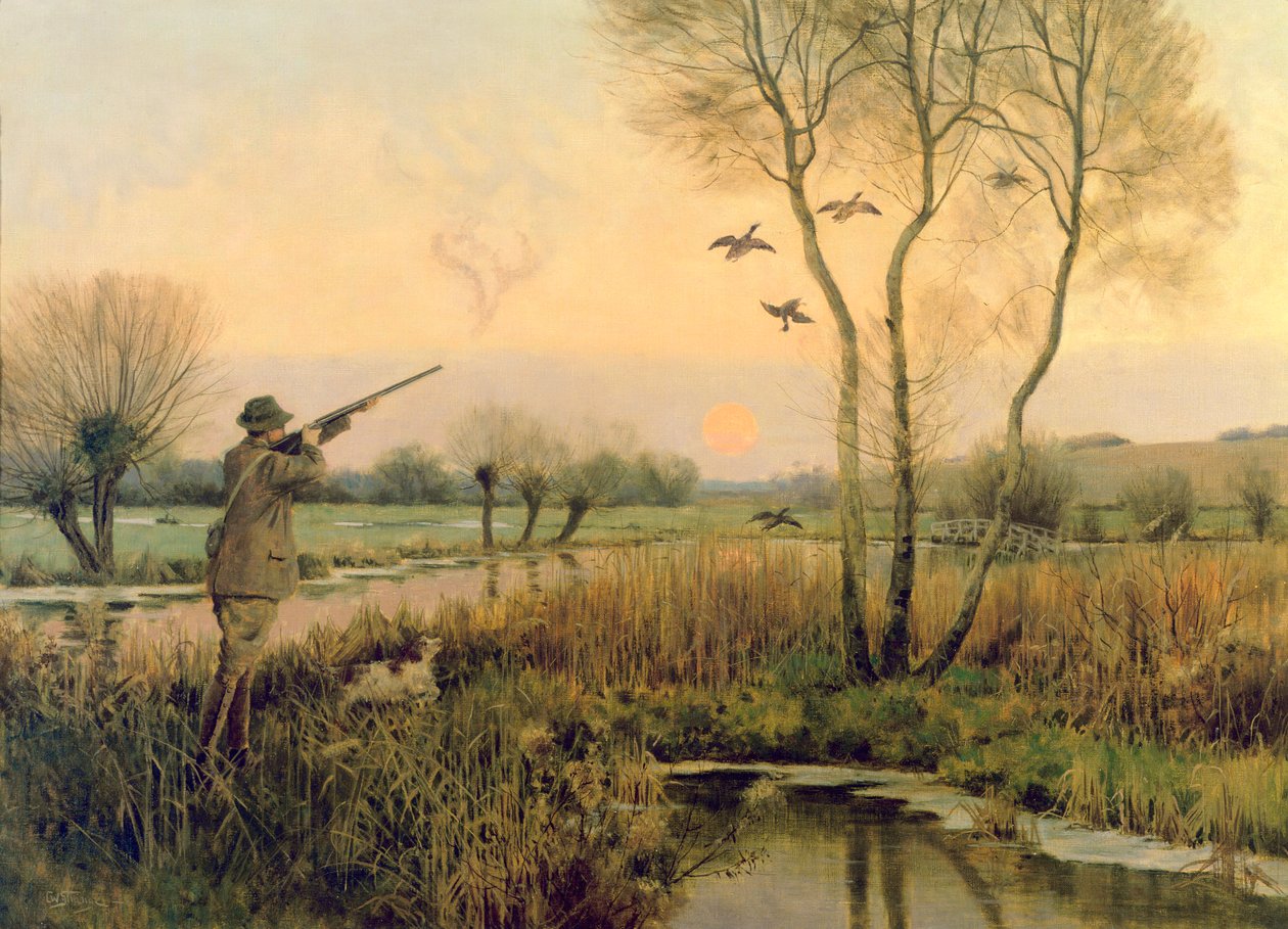 ördek avı by Christopher William Strange