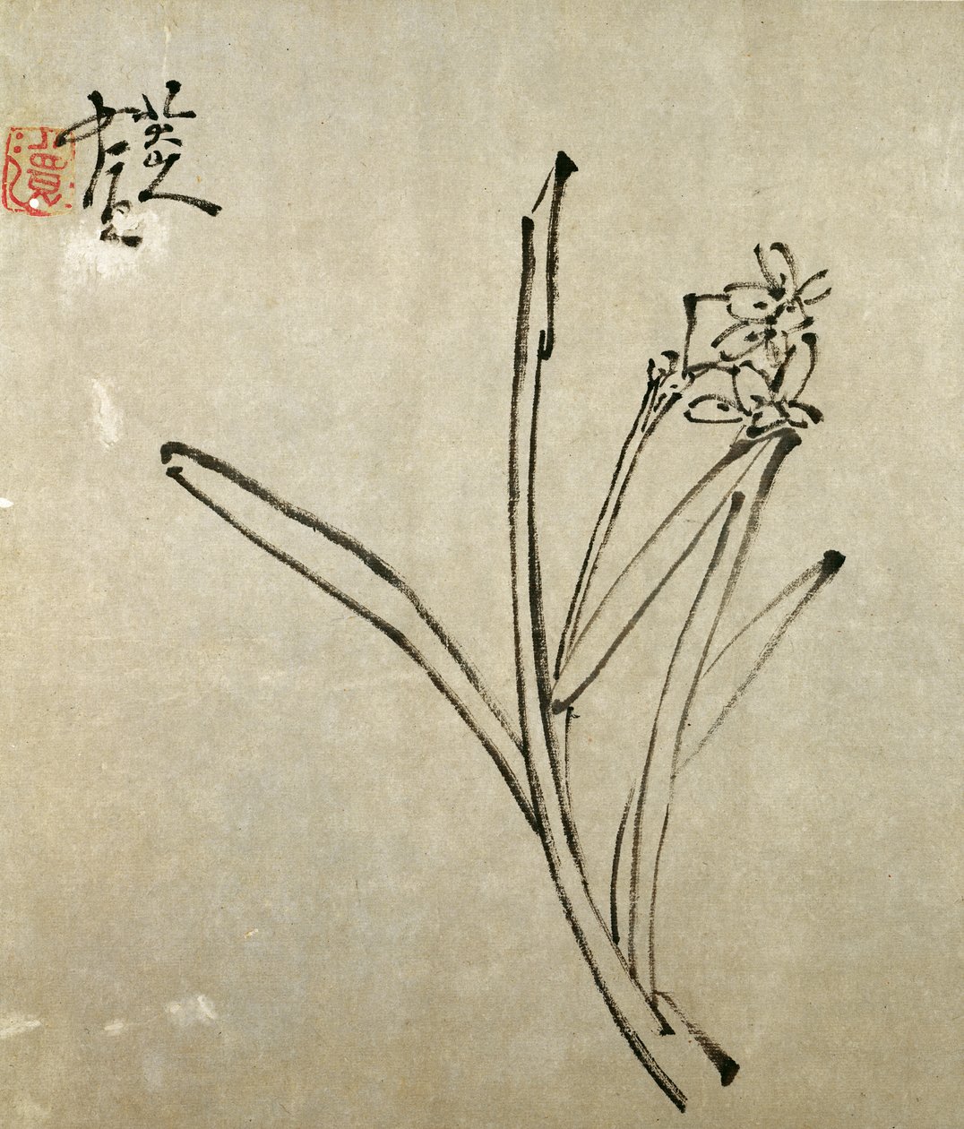 Narcissus (kağıt üzerine mürekkep) by Chu Ta