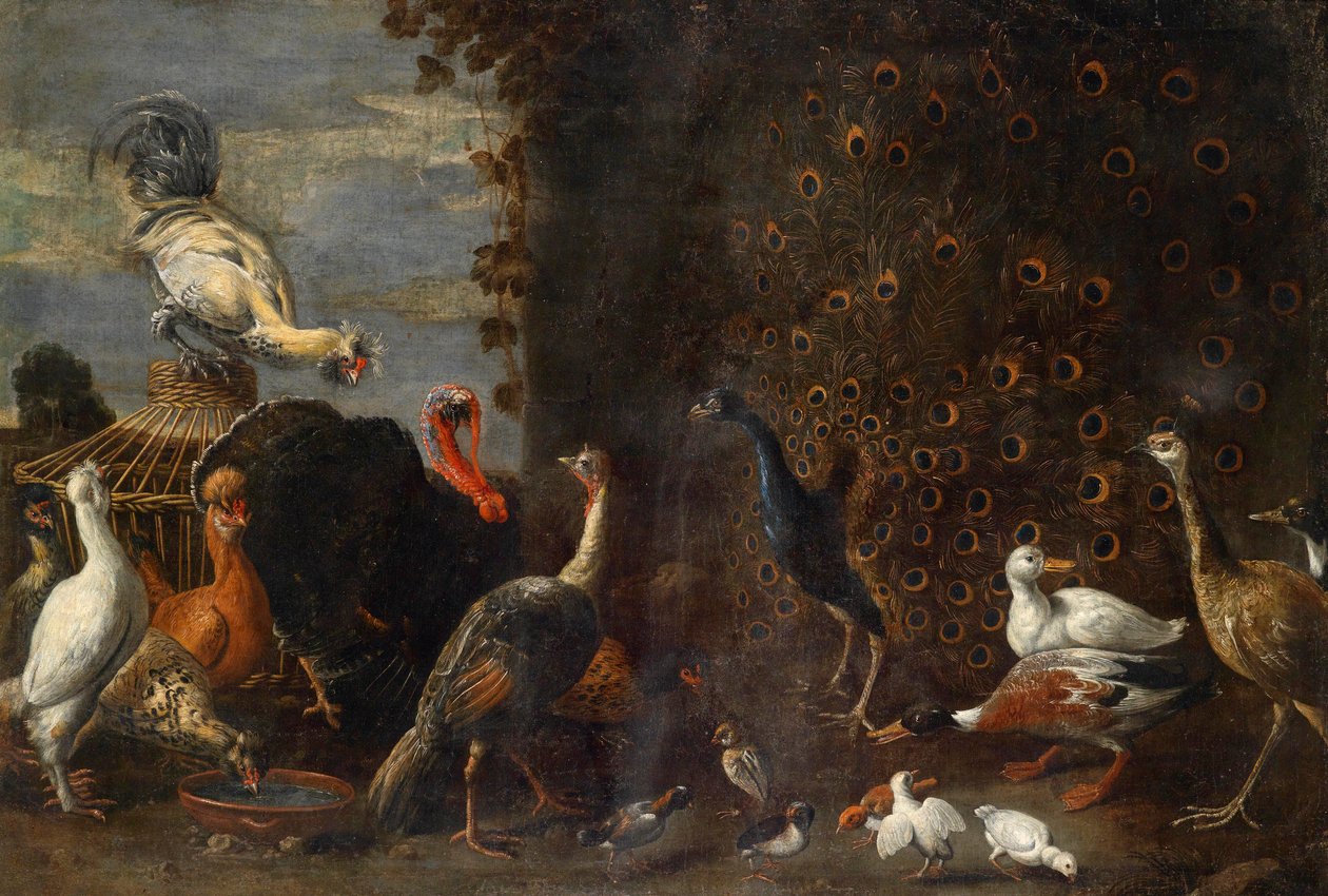 Tavus kuşu hindi ve ördekler ile tavuk bahçesinde by Circle of Adriaen van Utrecht