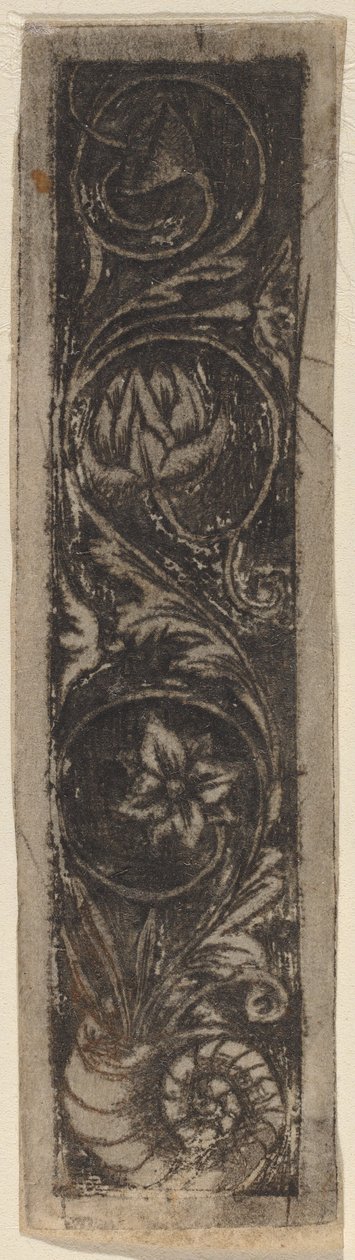 Dikdörtgen Süs Paneli by Circle of Francesco Francia