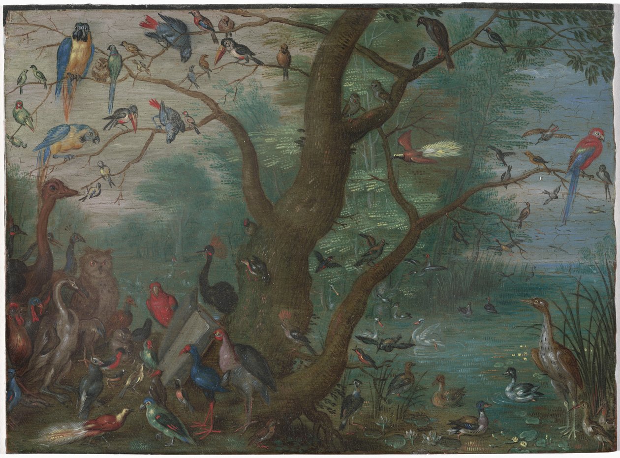 Kuşlar Konseri by Circle of Jan van Kessel the Elder