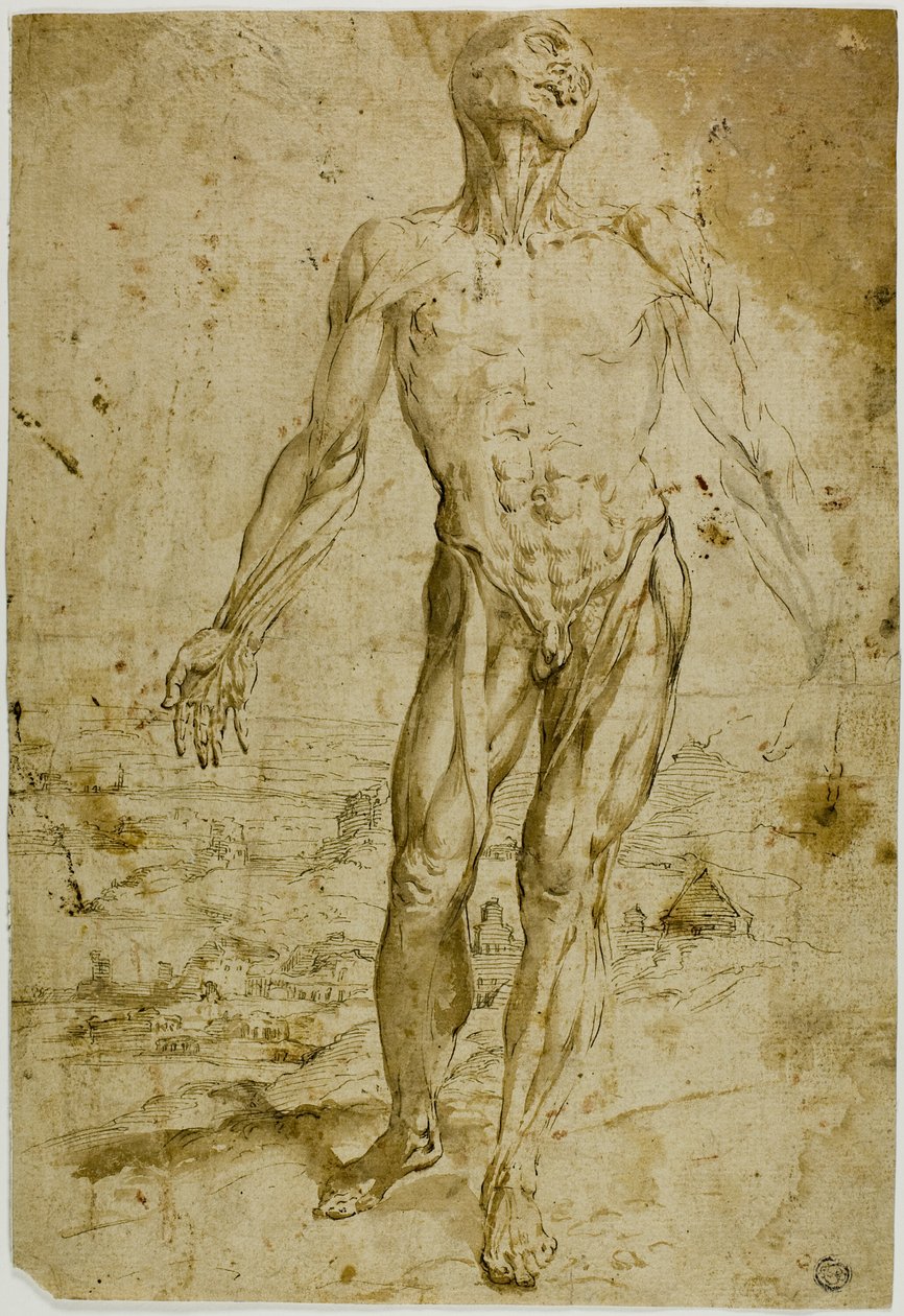  by Circle of Titian