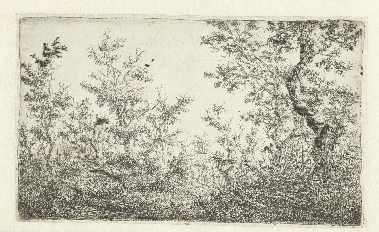Ormanda temizlik by Claes van Beresteyn