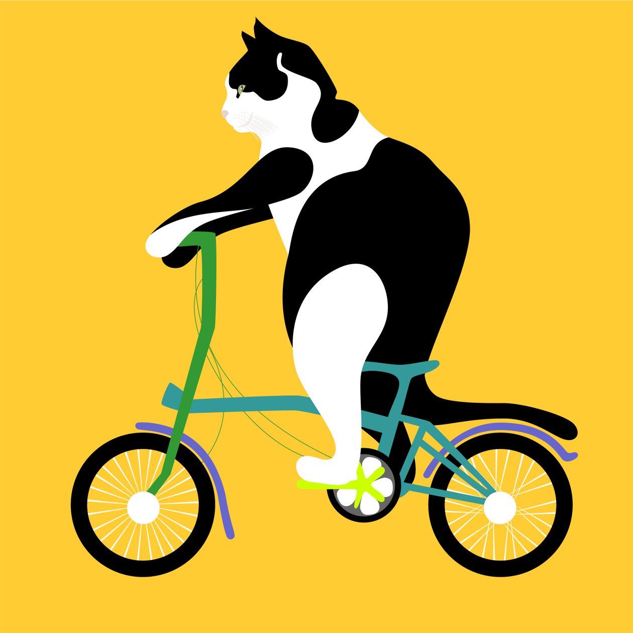 Brompton Bisikletli Kedi by Claire Huntley