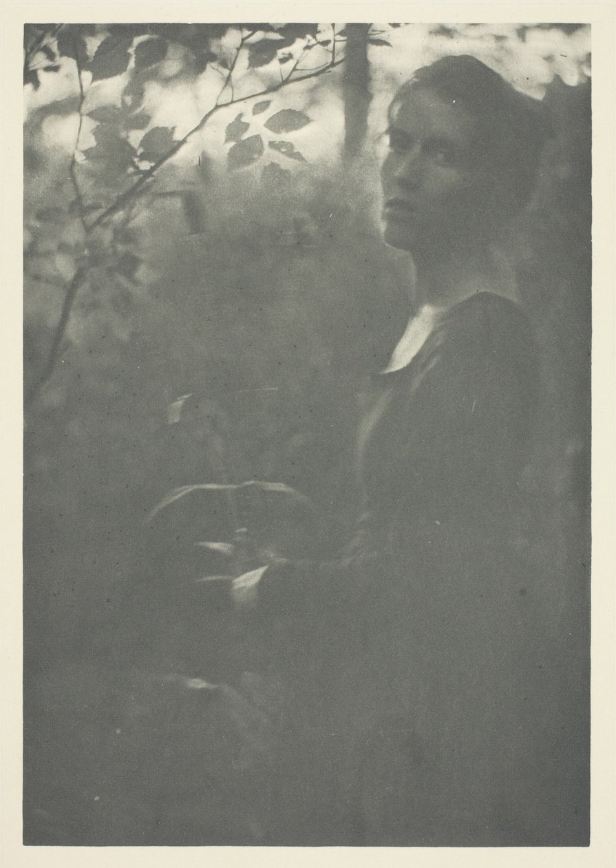 Ormanın Kenarı by Clarence H. White
