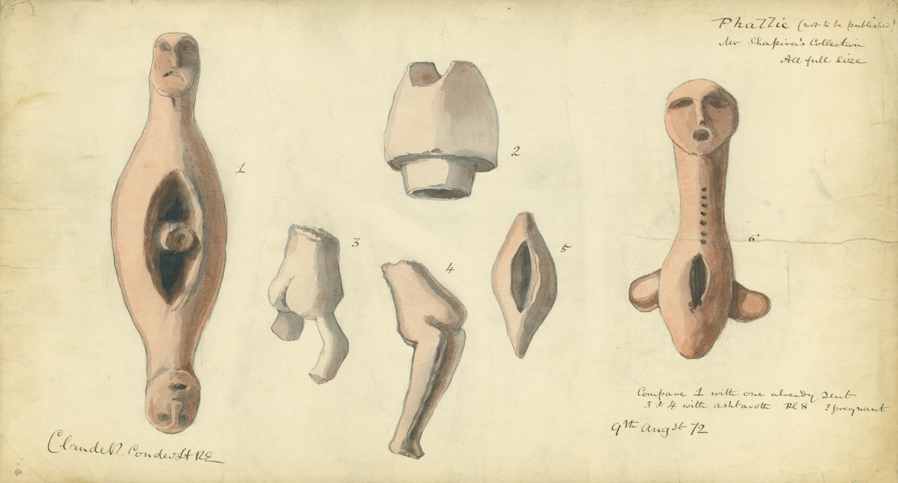 Bay Shapira