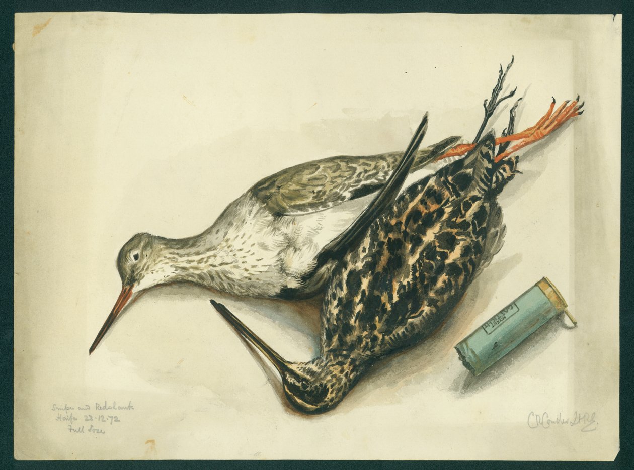 Snipe ve Redshank, 1872 (kağıt üzerinde wc ve kalem) by Claude Conder