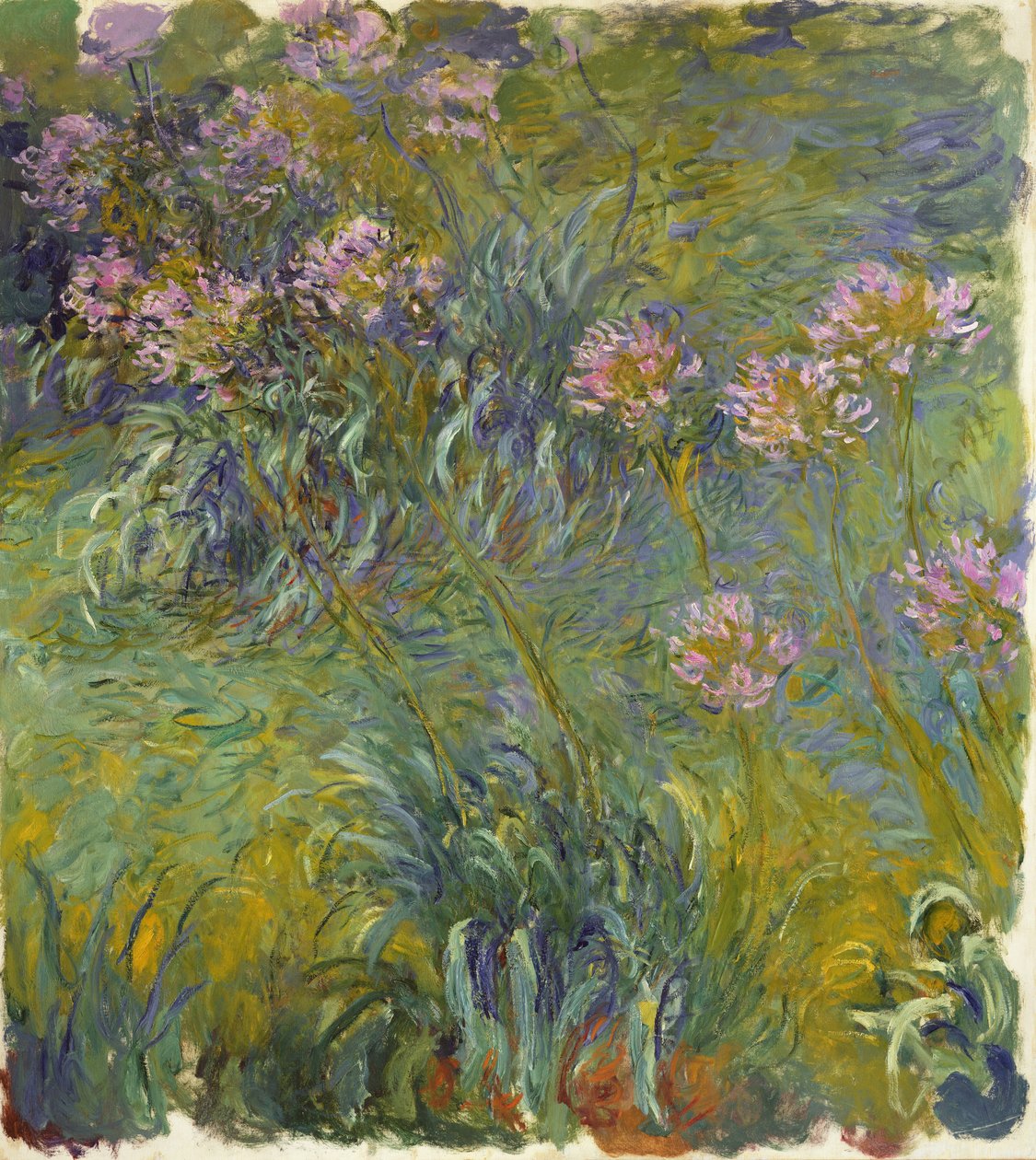 Agapanthus, 1914-26 by Claude Monet