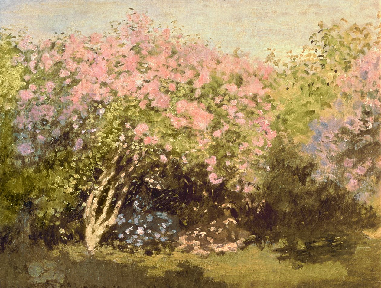 Güneşte Leylak, 1873 by Claude Monet