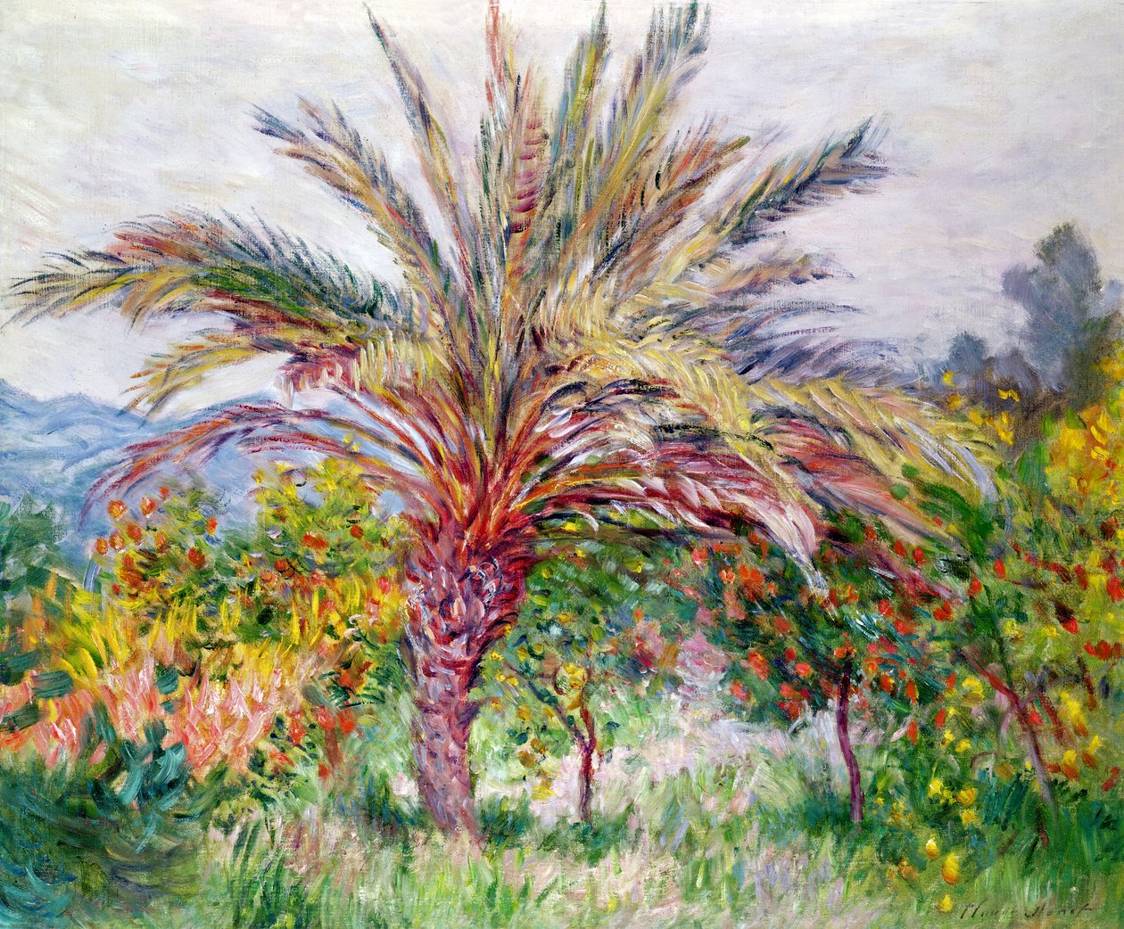 Bordighera