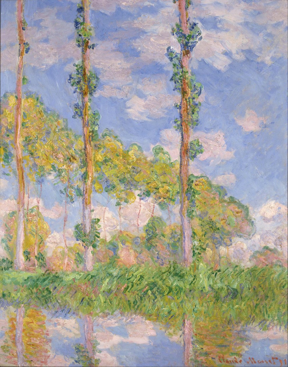 Güneşteki Kavaklar by Claude Monet