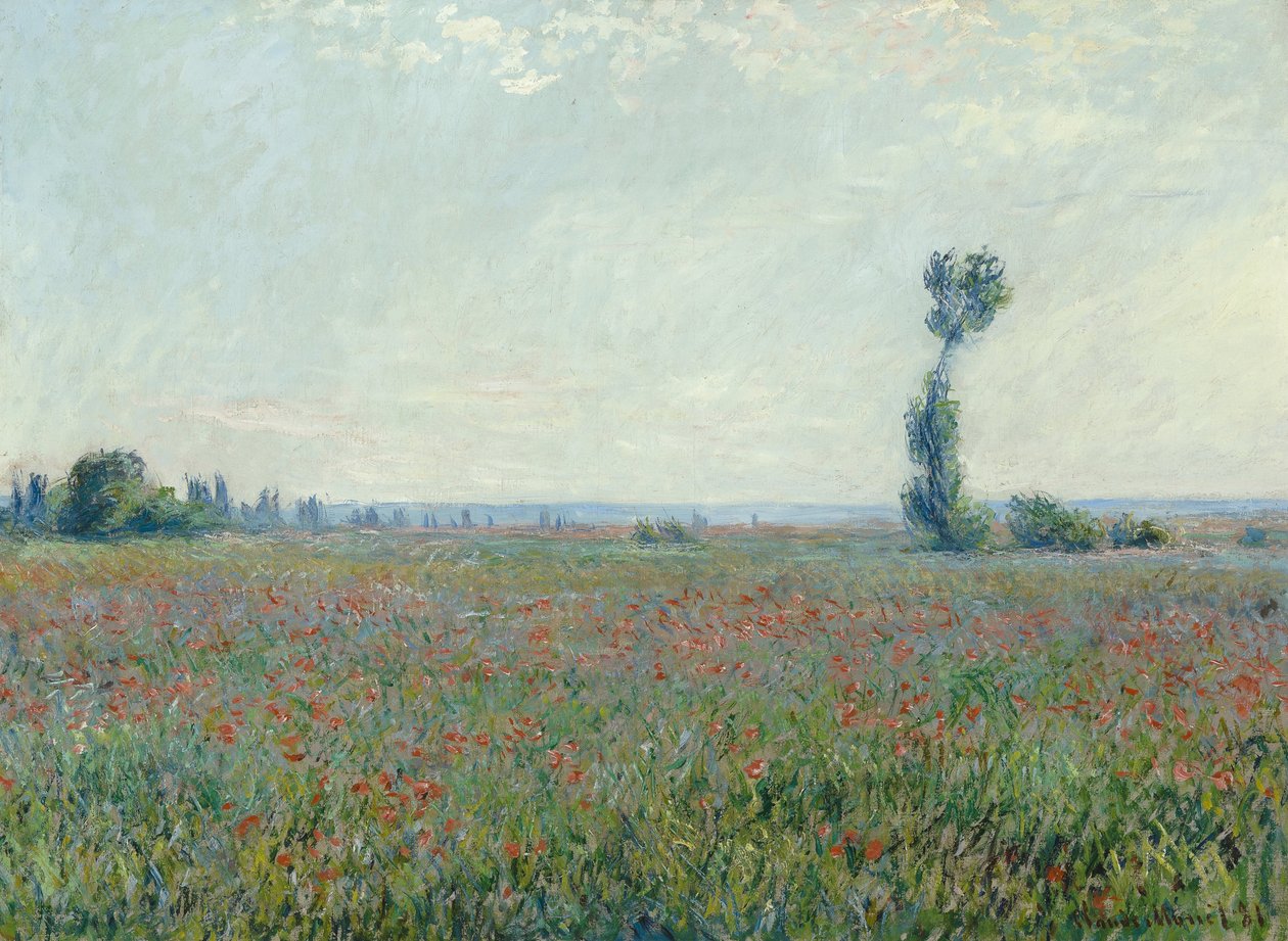 haşhaş tarlası by Claude Monet