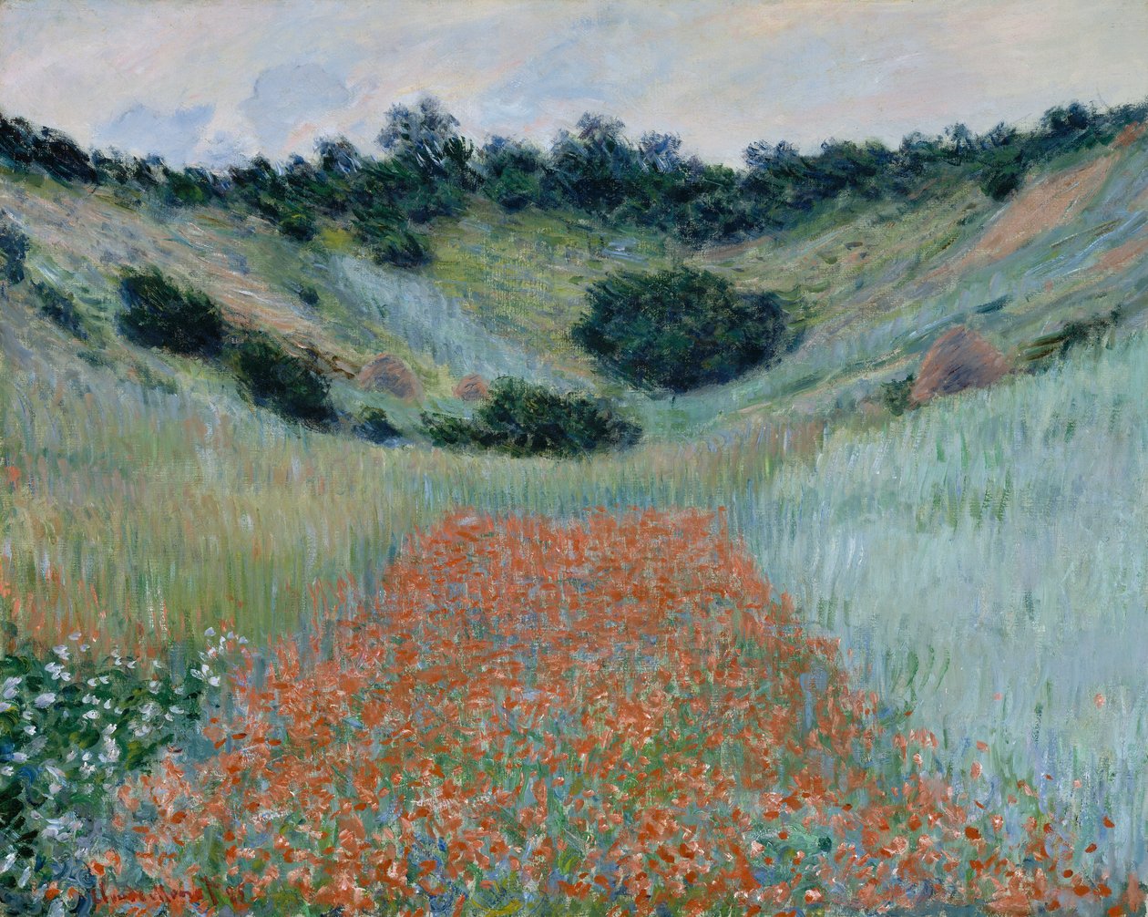 Giverny yakınlarındaki bir oyukta haşhaş tarlası by Claude Monet
