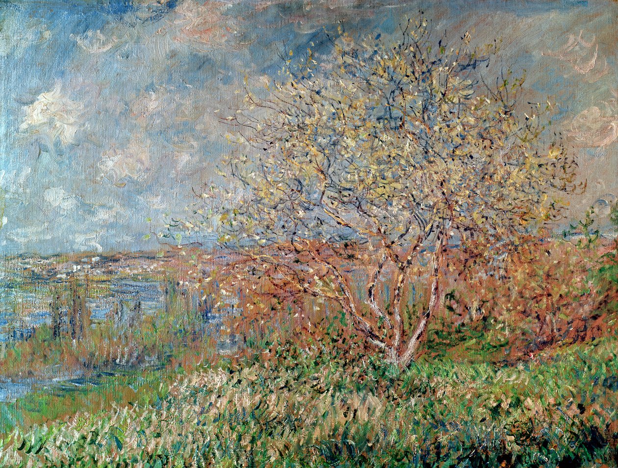 Bahar, 1880-82 by Claude Monet
