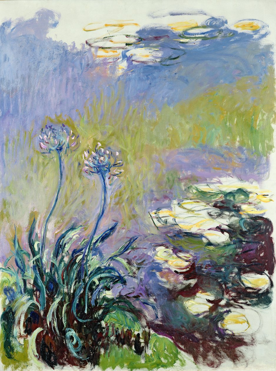 Agapanthus, 1914-17 by Claude Monet